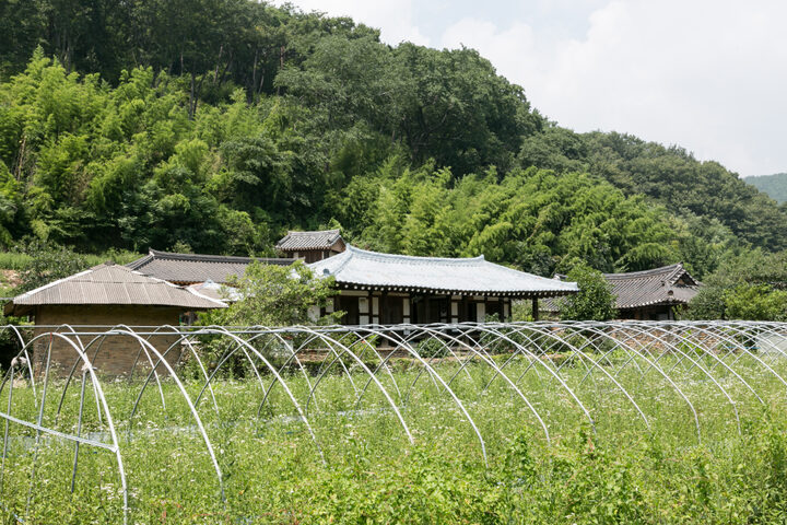 고성 학림리 최씨종가_원경 (촬영년도 : 2015년)