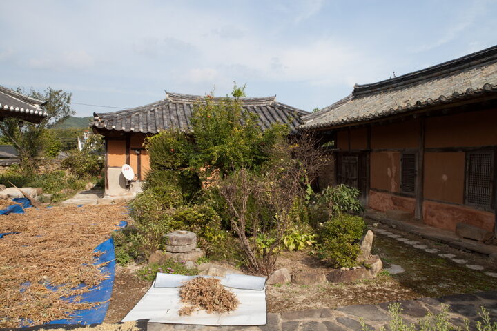단계박씨고가_마당 (촬영년도 : 2015년)