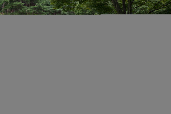 창녕 관룡사 석장승_입구에서 본 석장승 (촬영년도 : 2015년)