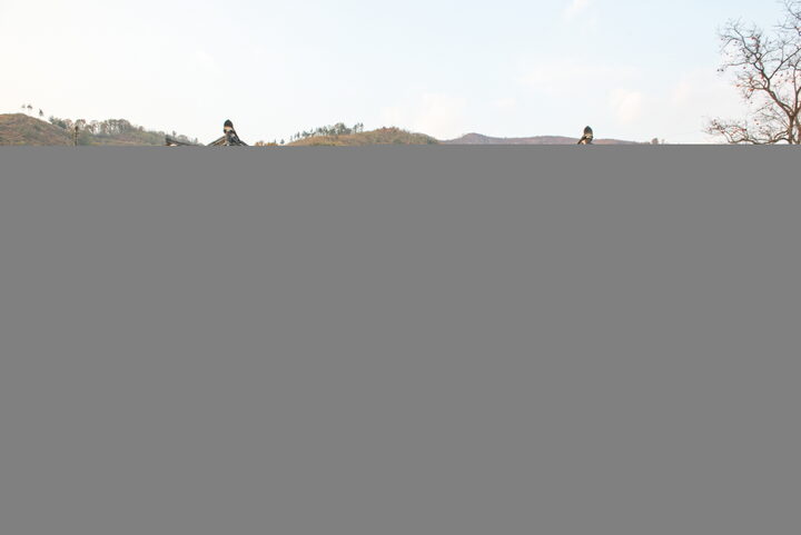 안동김씨북애공종택_정면 (촬영년도 : 2015년)