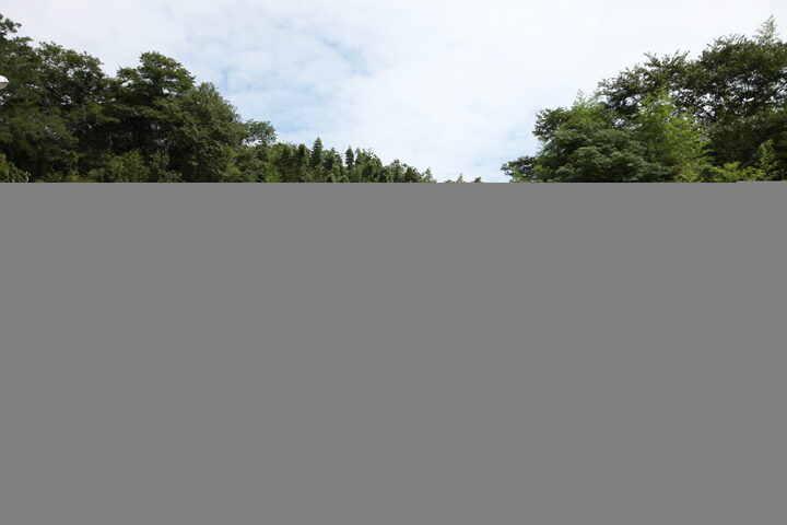 장흥 죽헌 고택_전경 (촬영년도 : 2015년)