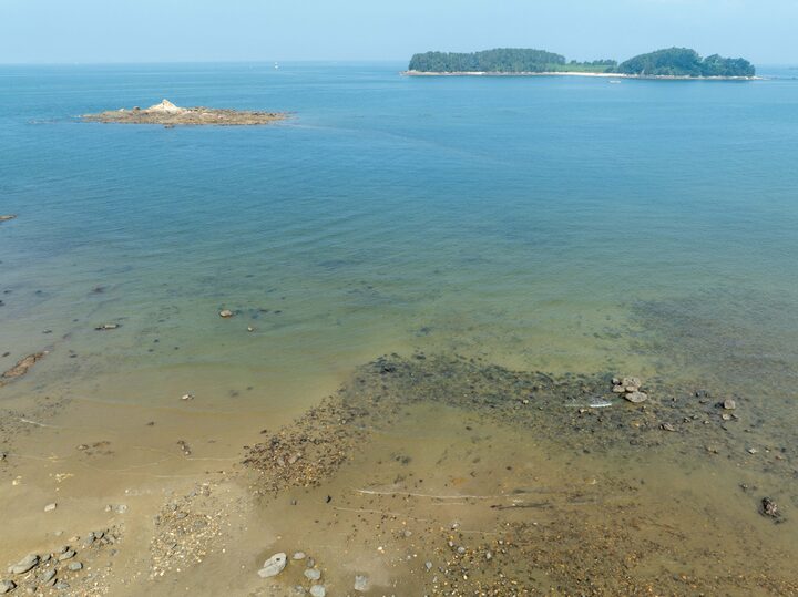 보령독산리독살(항공촬영)_전경 (촬영년도_2024년)