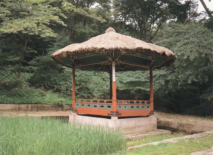 청의정