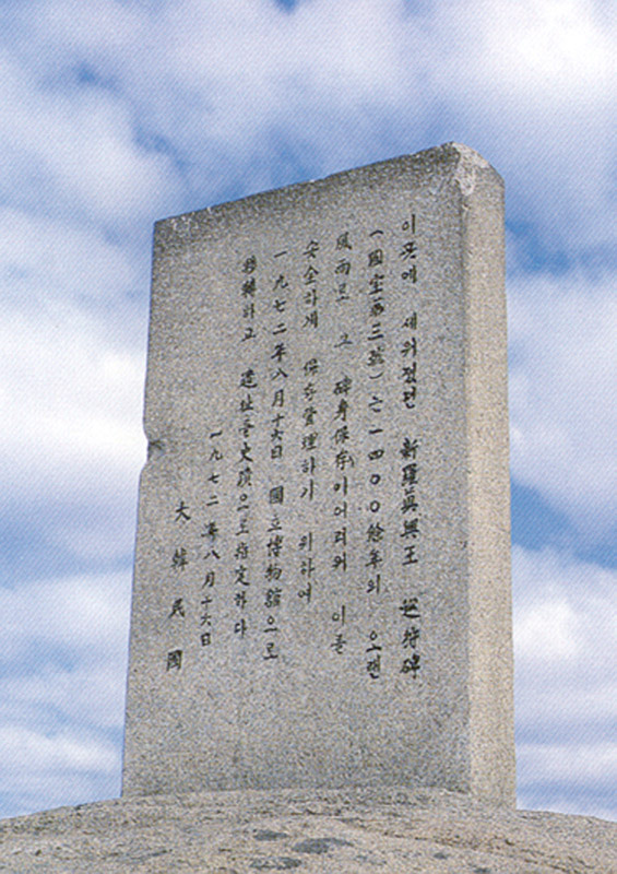 순수비유지비뒷면