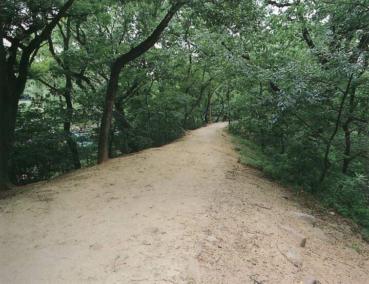 토성