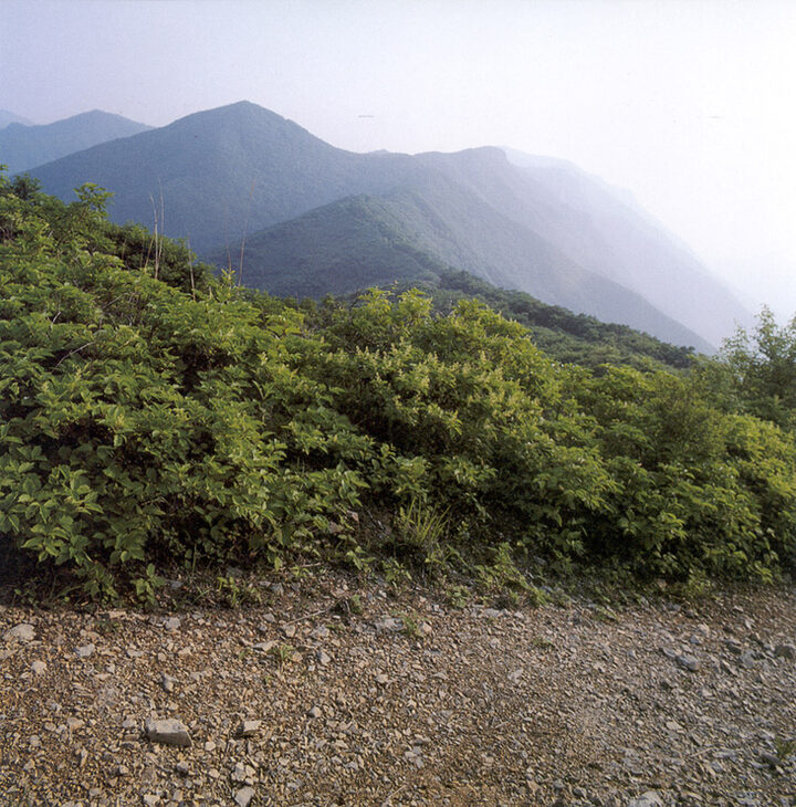 천왕산도요지전경