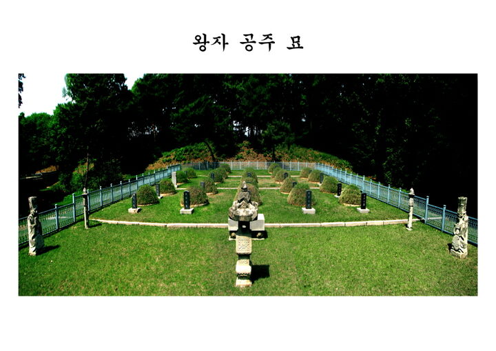 왕자묘, 공주묘