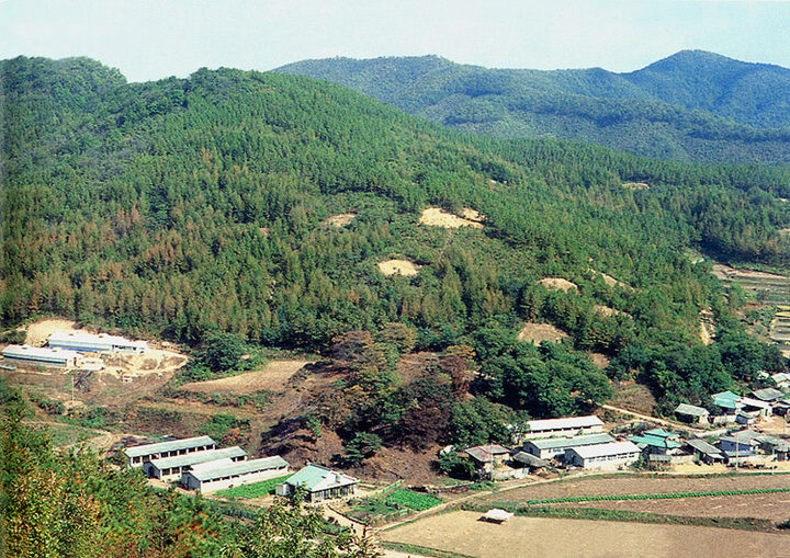 용인서리고려백자요지