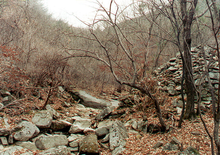 서문지전경