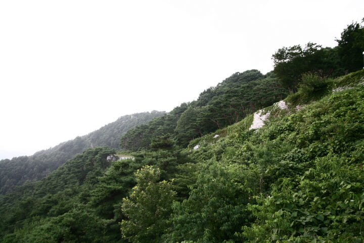부여성흥산성