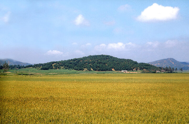 청산성전경