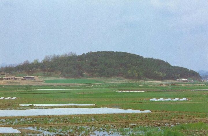 부여청산성