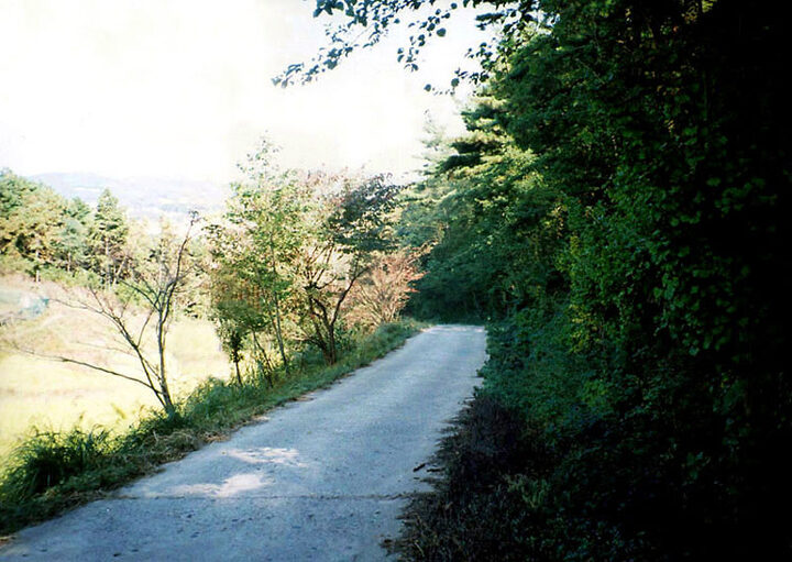 건지산성(근경)