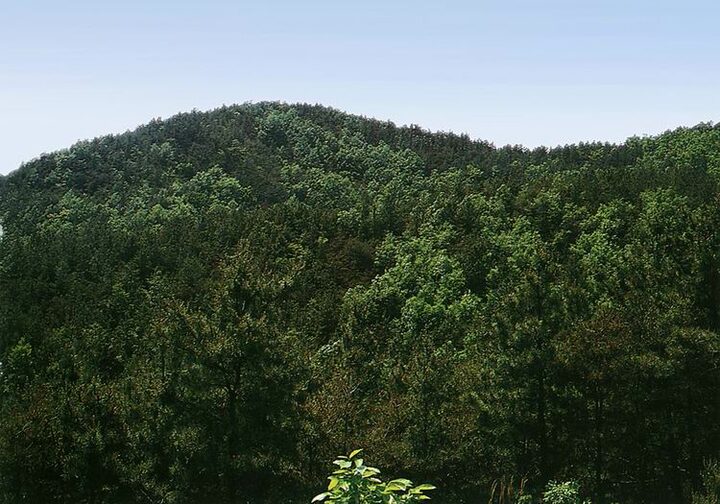 부여석성산성전경
