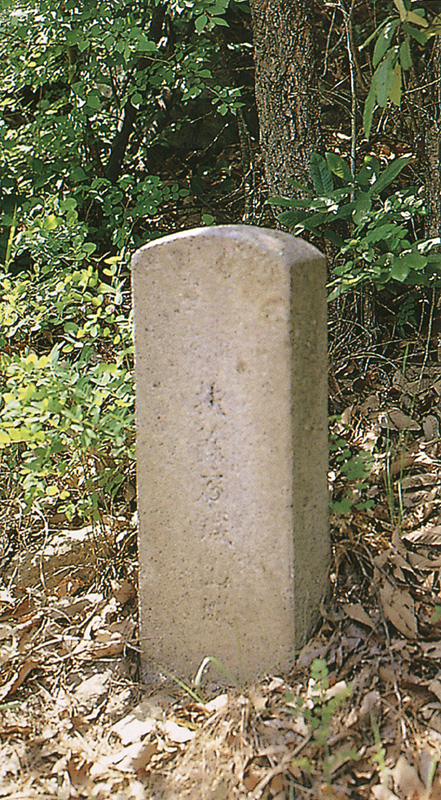부여석성산성비