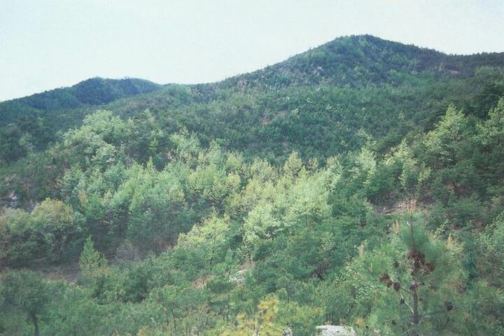 부여석성산성