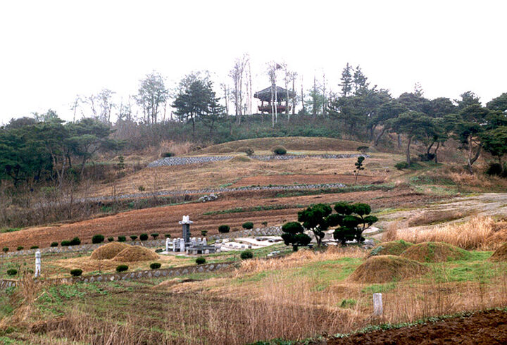 백산성근경