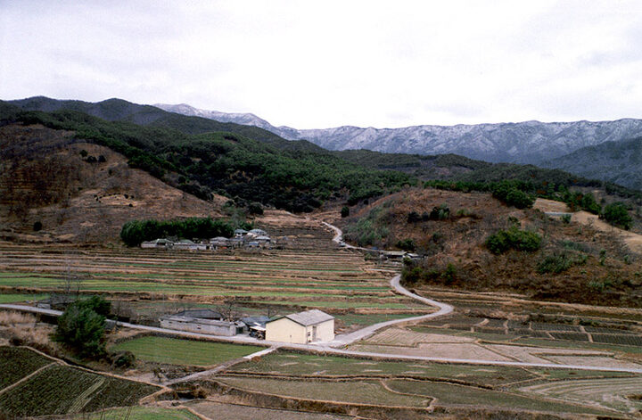 동백림원경(남서쪽에서)