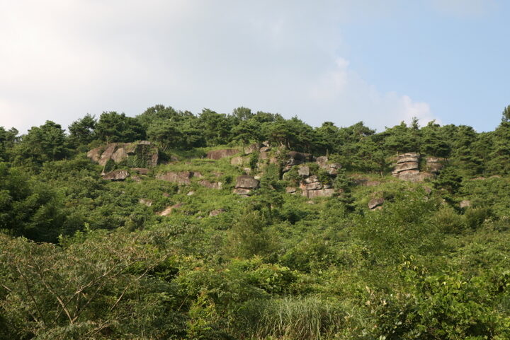 화순효산리 및 대신리 지석묘군 전경