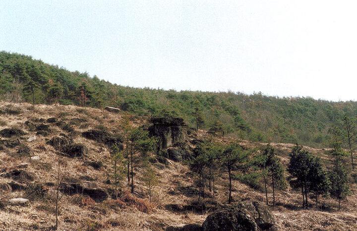 화순효산리지석묘