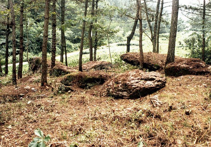 화순대신리지석묘군