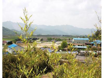 석대들 전적지 전경사진(동학농민군과 관군과의 견적지)