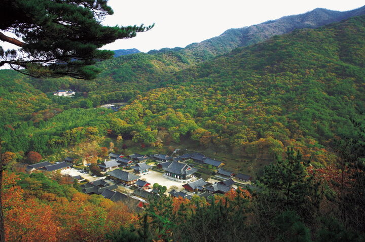 순천 송광사 전경