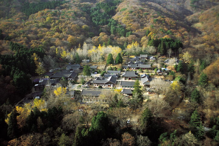 순천 선암사 전경