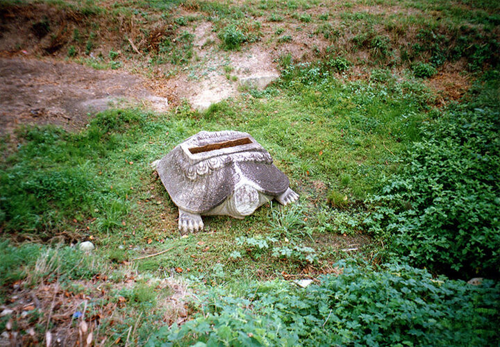 귀부