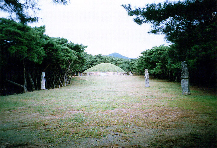 경주 흥덕왕릉 전경