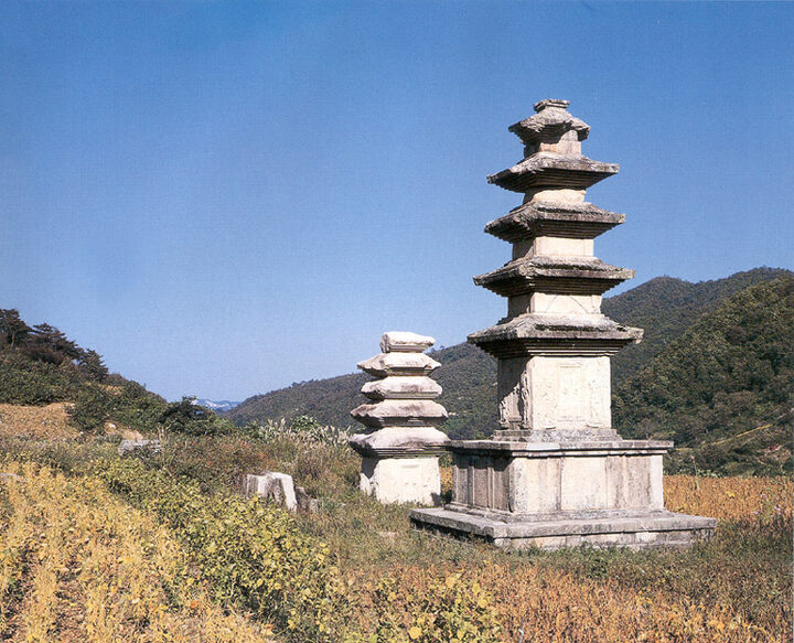 경주 장항리 사지 전경