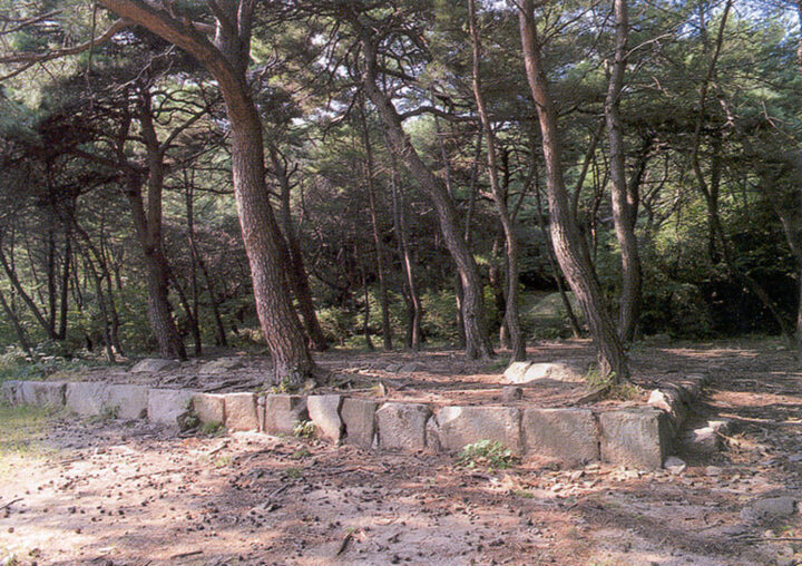 금당지유구
