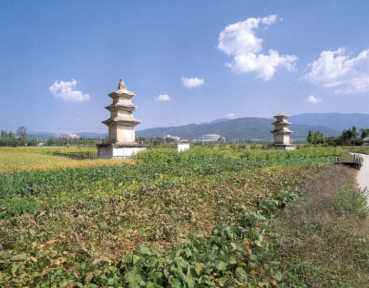 경주 천군동 사지 전경