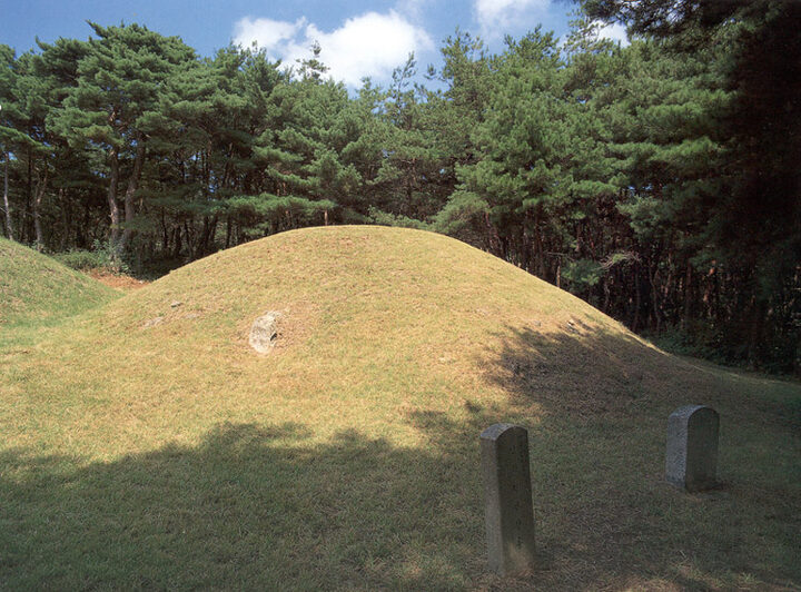 경주 헌안왕릉 근경