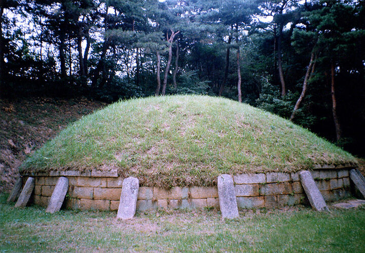 경주 전 민애왕릉 전경