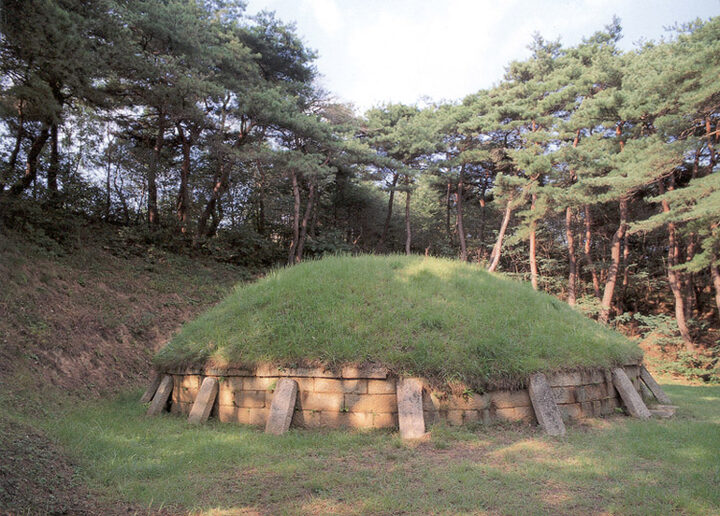 경주 전 민애왕릉 전경