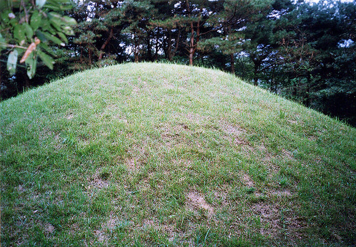 경주 희강왕릉 전경