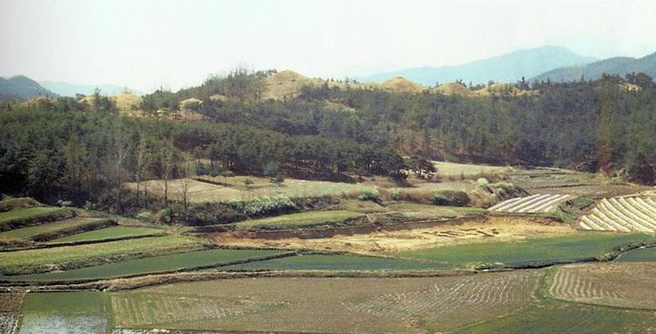선산낙산리고분군