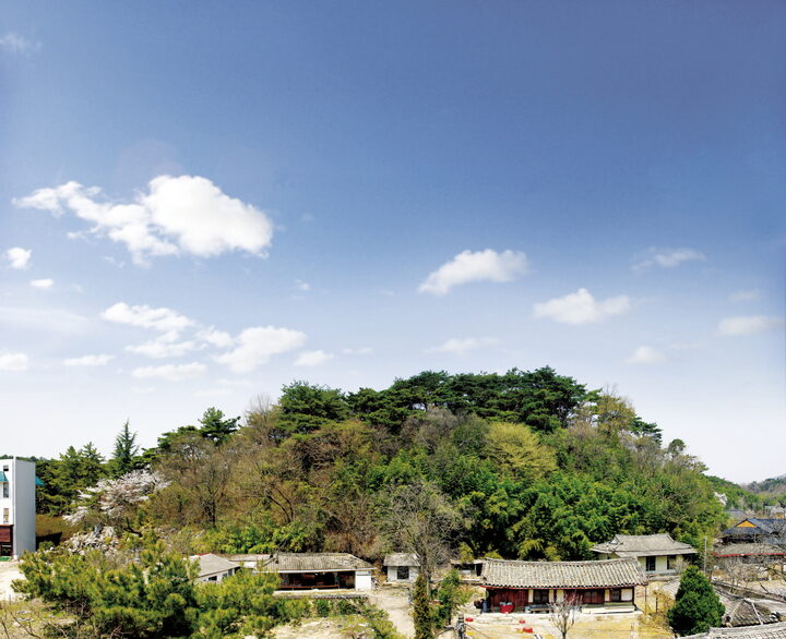 경주 구정동 고분군 전경