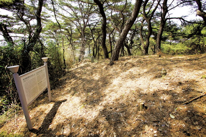 경주 구정동 고분군 근경