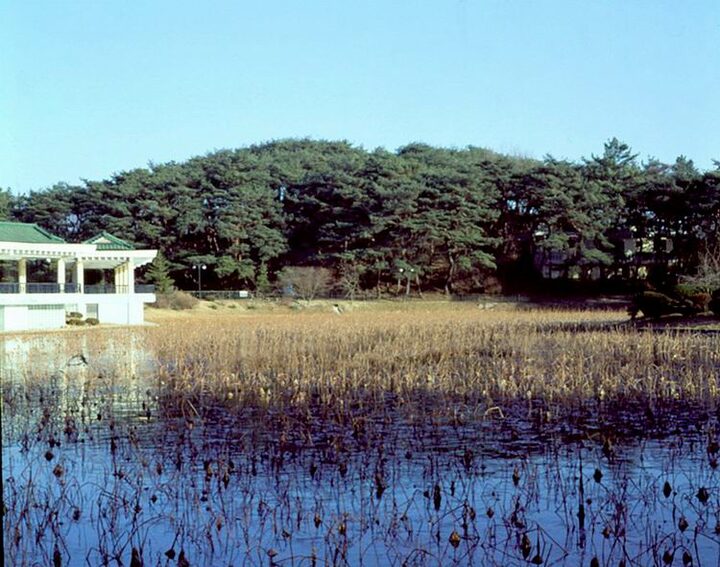 경주구정동고분군원경