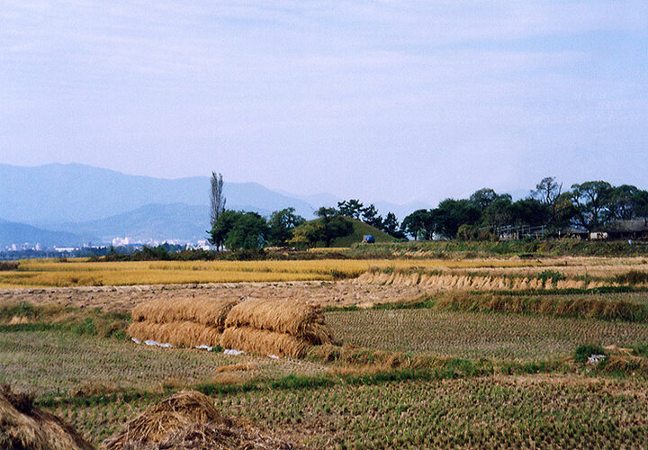 사지전경