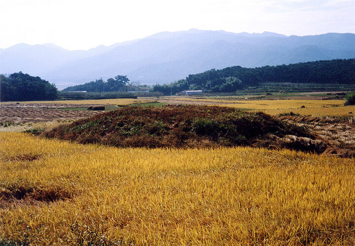 서탑지전경