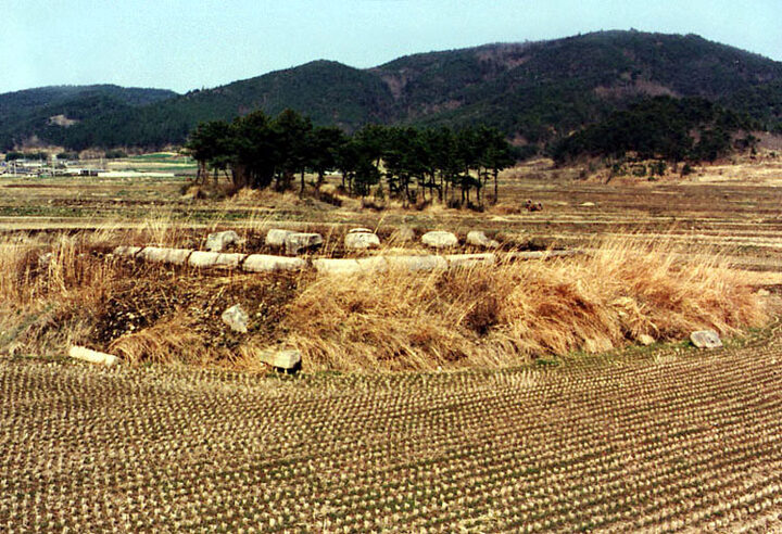 경주 보문동 사지