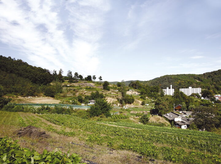 구미 황상동 고분군 전경