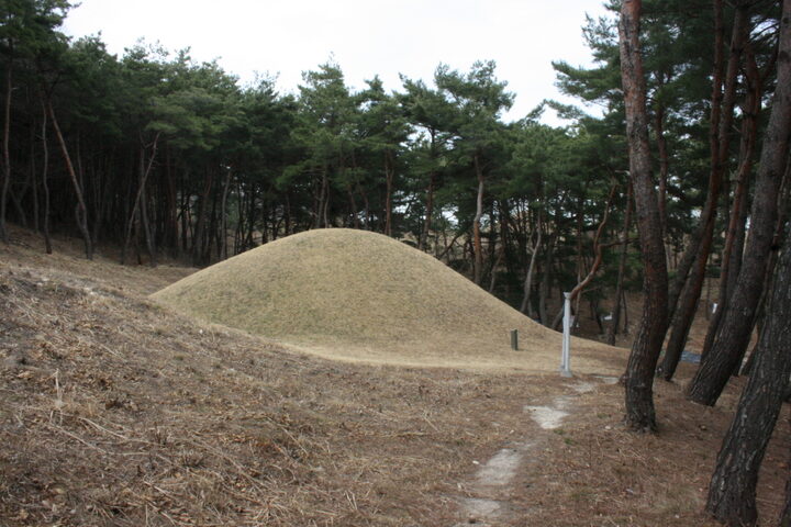 경주 문성왕릉 전경