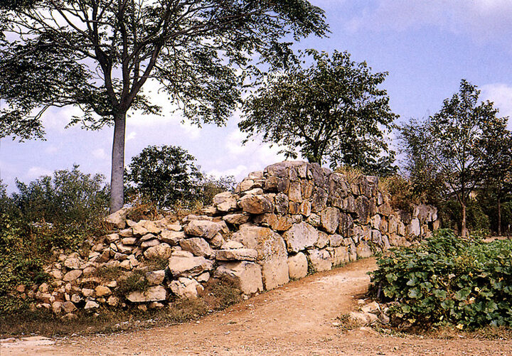 성벽근경