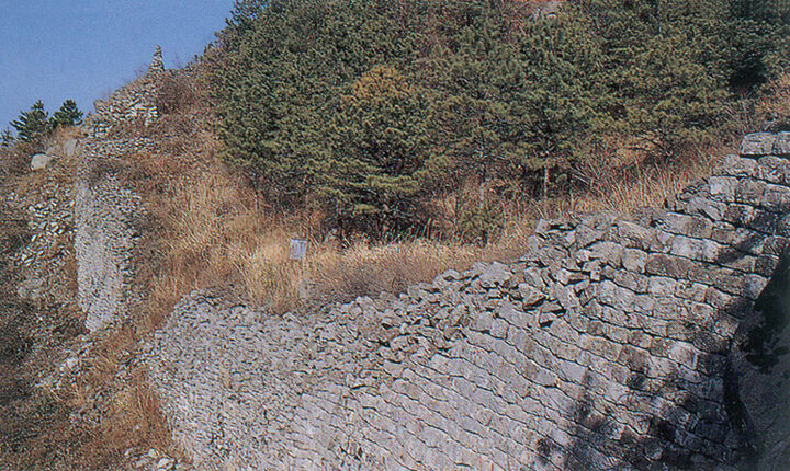 성벽근경