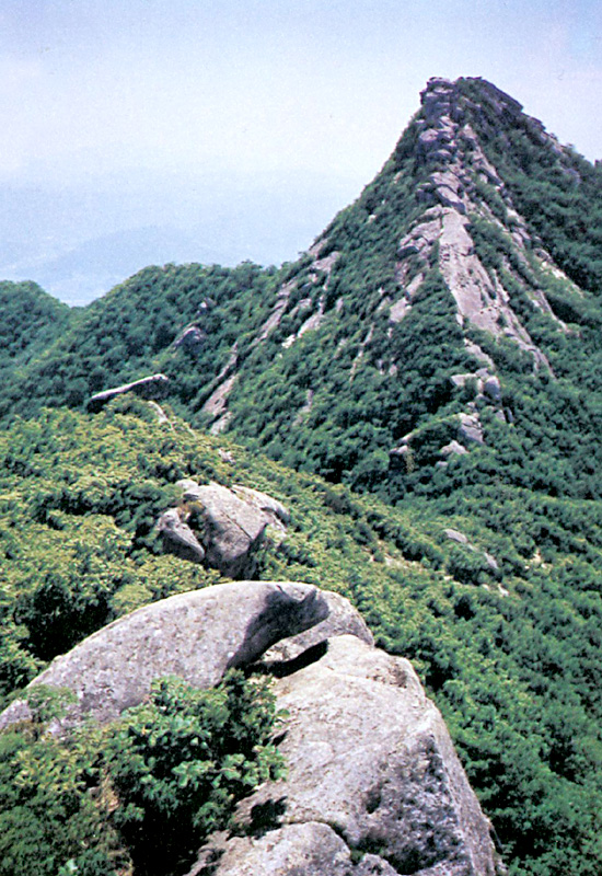 북문자주변
