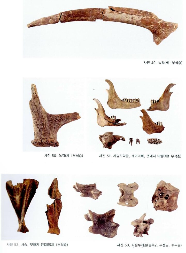 출토유물현항